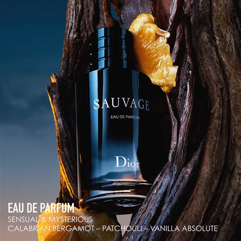 sauvage dior note olfattive|cheapest sauvage aftershave 100ml.